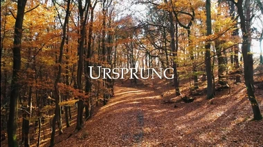 Hessischen Staatsweingüter Kloster Eberbach - Weine von Weltruf